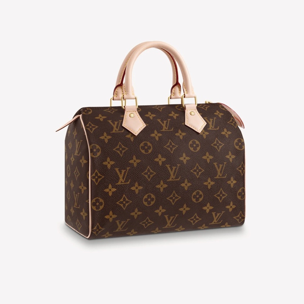 Louis Vuitton Speedy 25 handbag